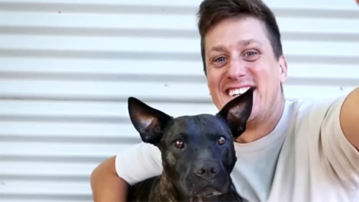 A Man, His Dog, and an AI-Designed Cancer Vaccine